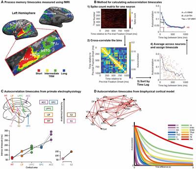 A Diversity of Intrinsic Timescales Underlie Neural Computations